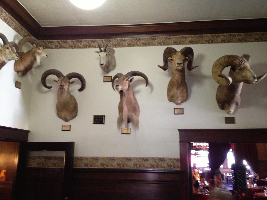 Irma Hotel Cody Dış mekan fotoğraf
